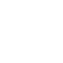Homo Spiritum